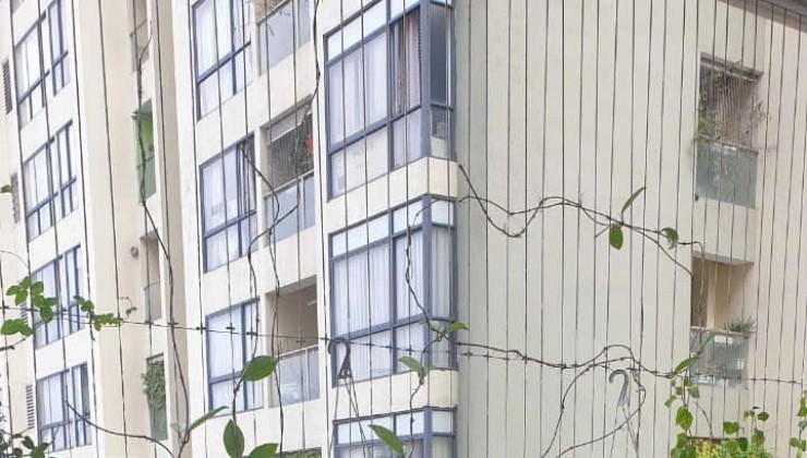 Cho thuê căn hộ CC the golden palm Lê Văn Lương 70m2, 2 ngủ, 1 WC, Giá 15tr, Full đồ, ở ngay